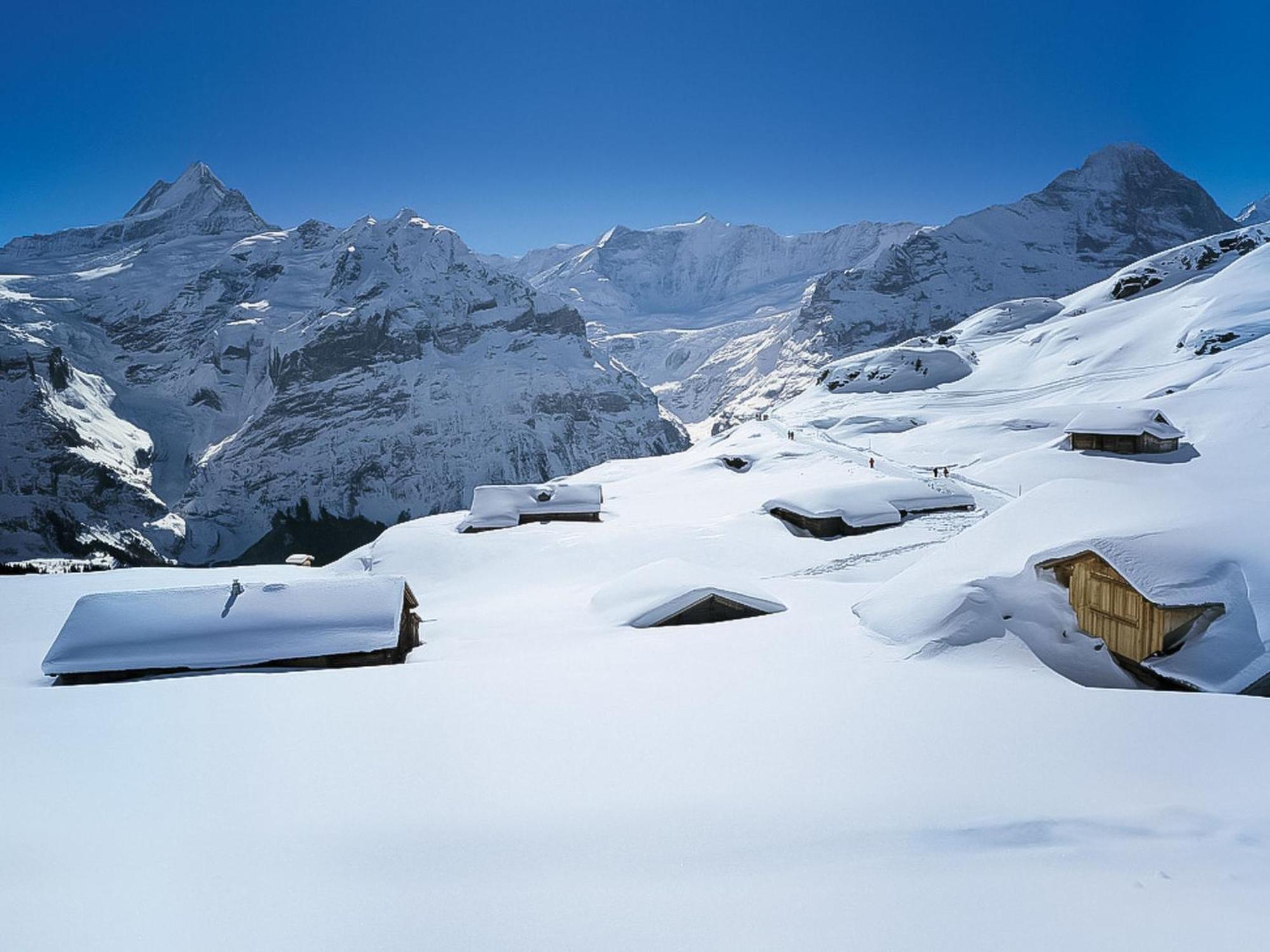 Apartment Chalet Auf Dem Vogelstein-2 By Interhome Grindelwald Kültér fotó