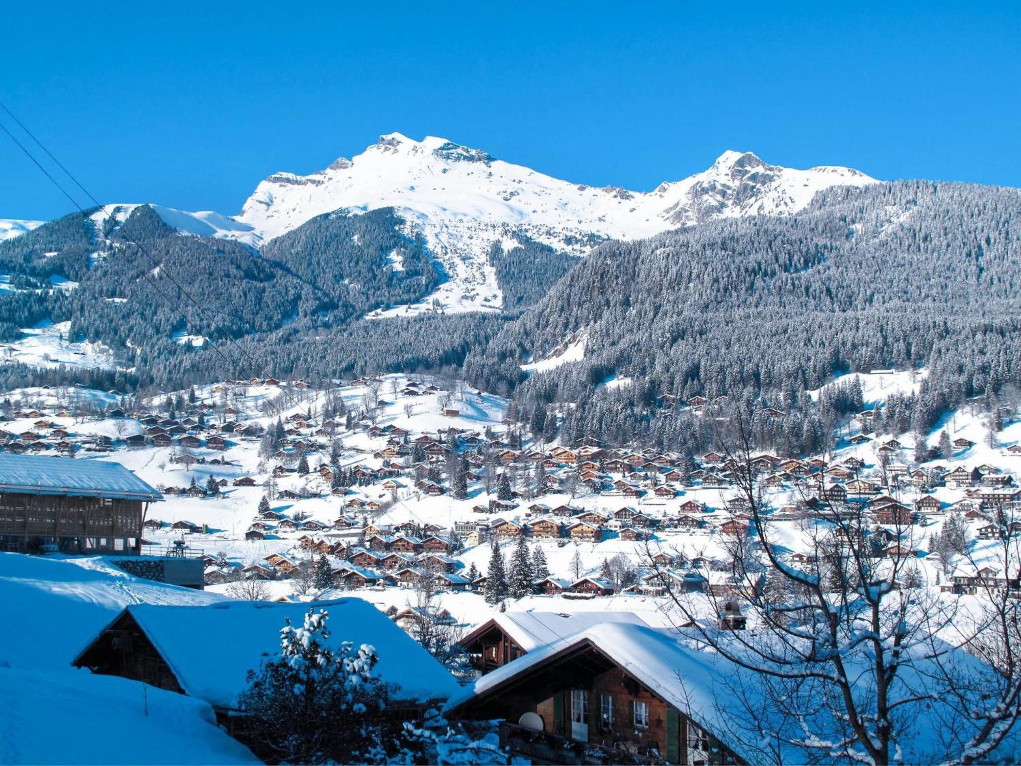 Apartment Chalet Auf Dem Vogelstein-2 By Interhome Grindelwald Kültér fotó