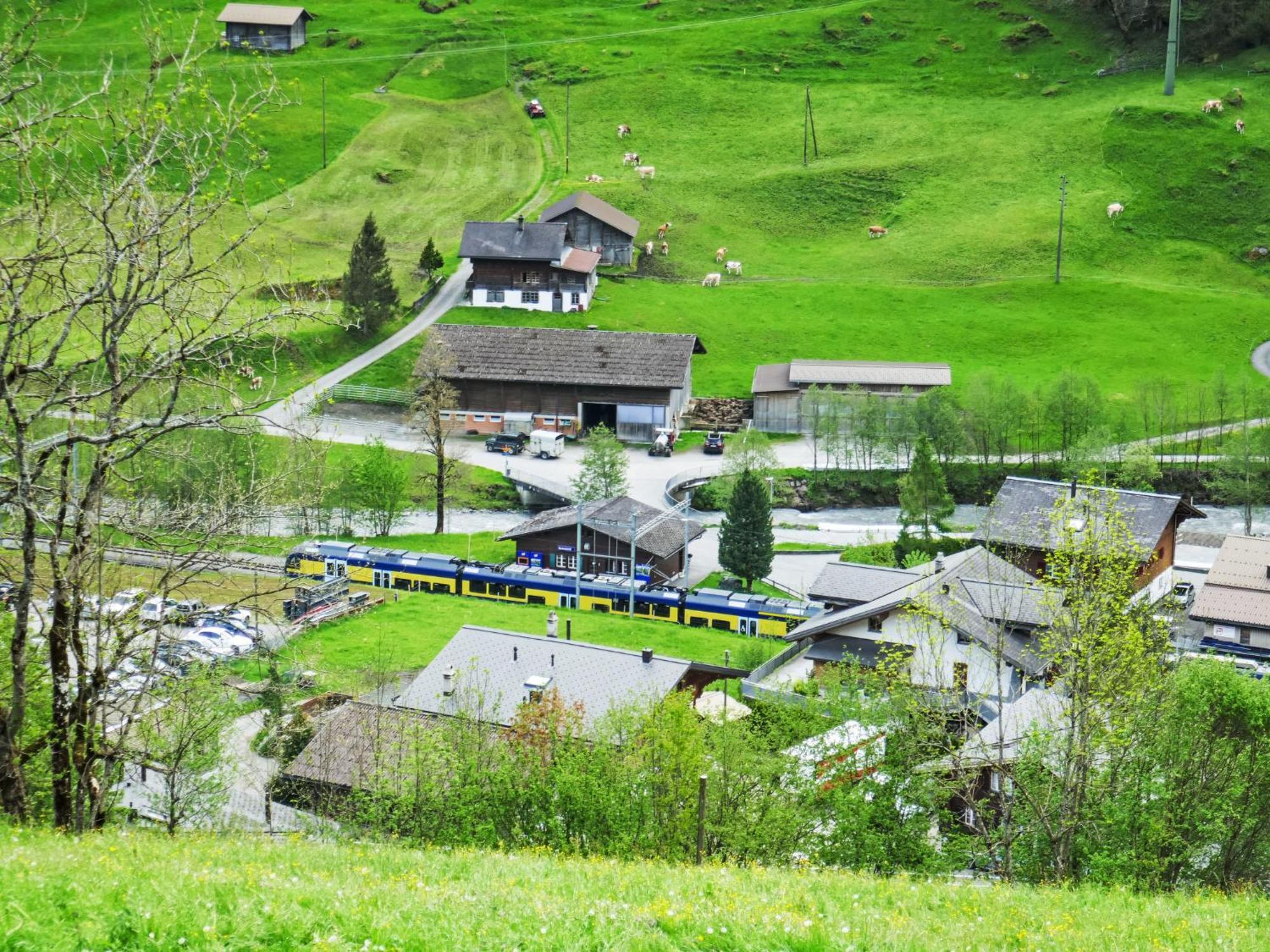 Apartment Chalet Auf Dem Vogelstein-2 By Interhome Grindelwald Kültér fotó