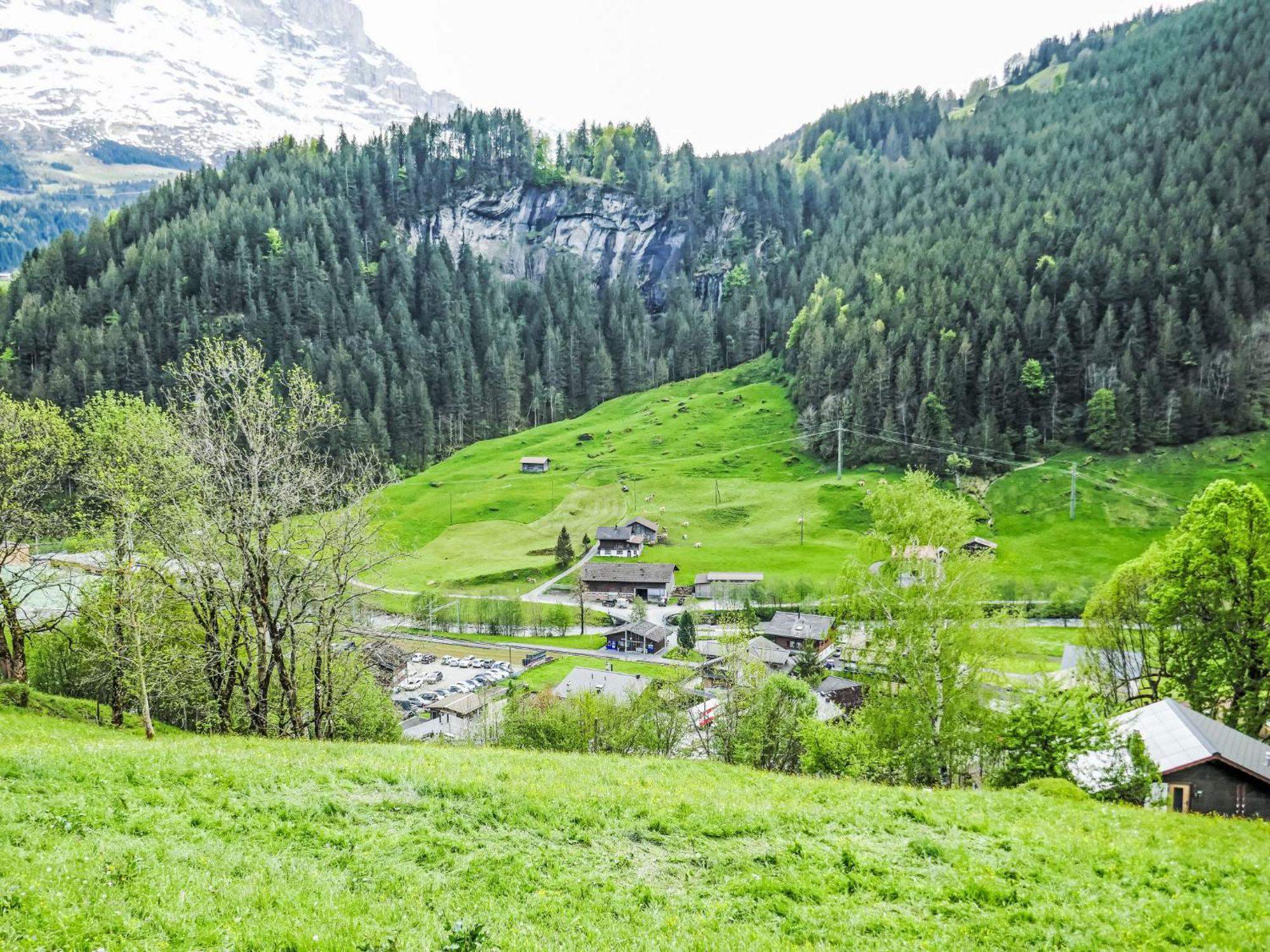 Apartment Chalet Auf Dem Vogelstein-2 By Interhome Grindelwald Kültér fotó